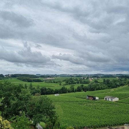 Gite Du Vignoble ピュイスガン エクステリア 写真