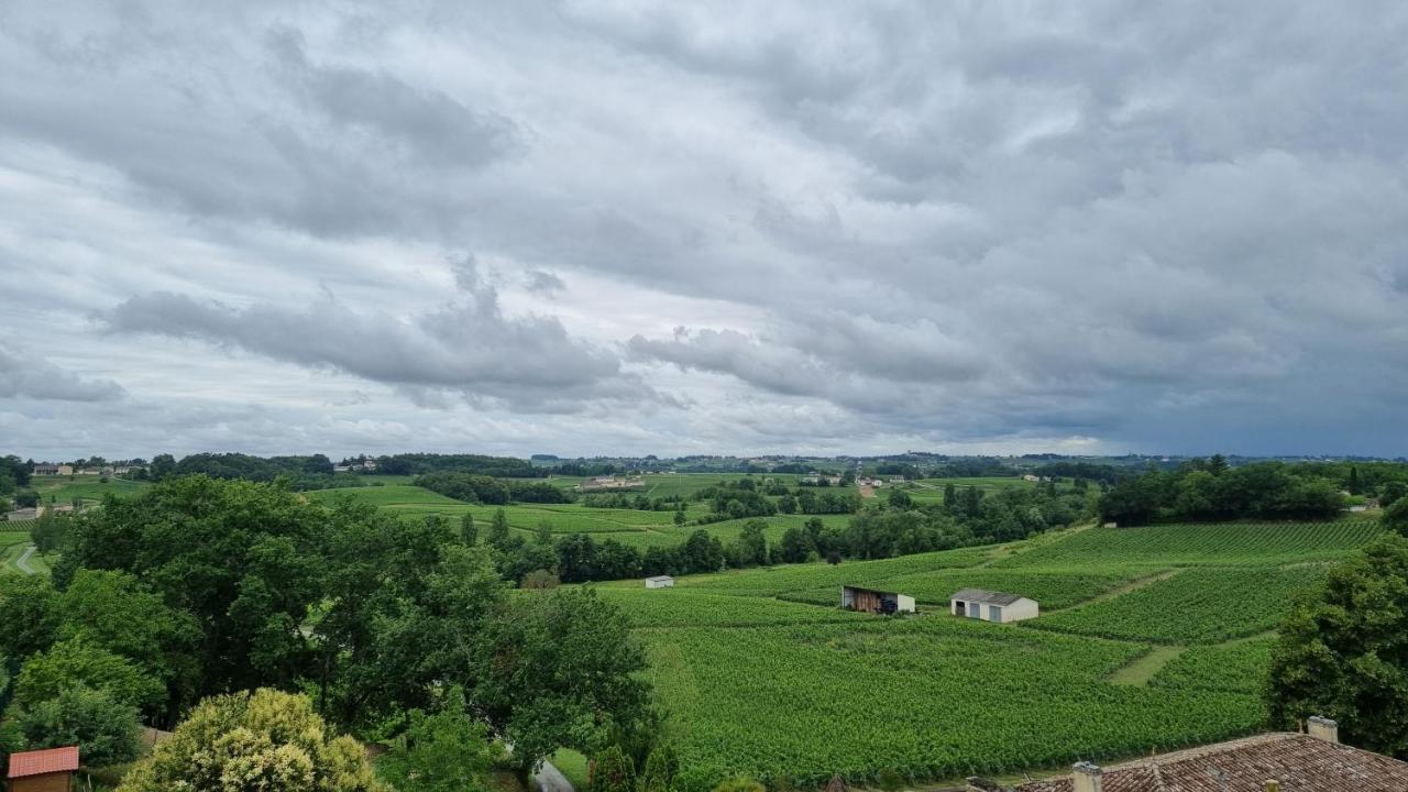 Gite Du Vignoble ピュイスガン エクステリア 写真